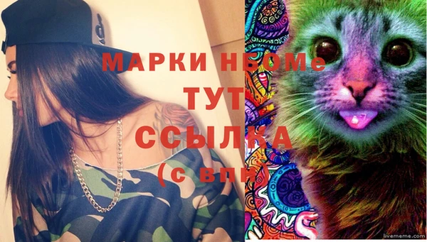 ПСИЛОЦИБИНОВЫЕ ГРИБЫ Алексеевка