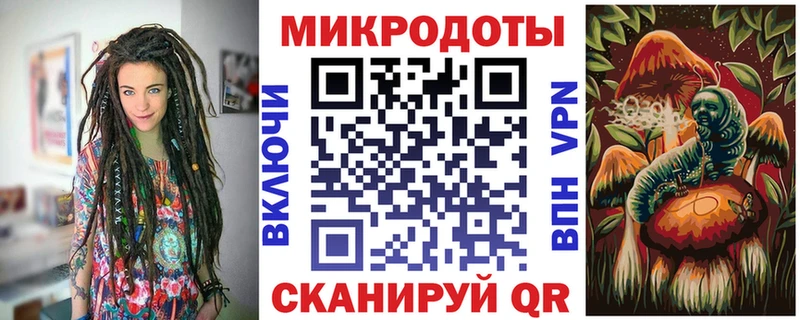 mega вход  Чаплыгин  Псилоцибиновые грибы ЛСД 
